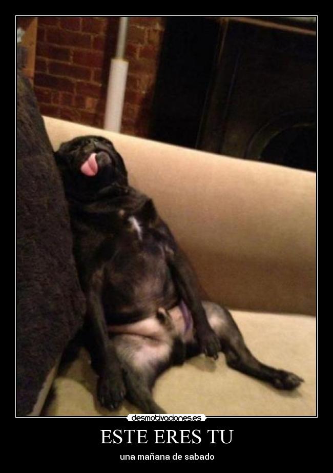 ESTE ERES TU - una mañana de sabado