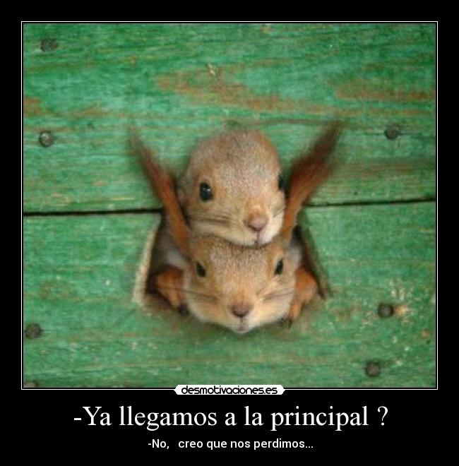 -Ya llegamos a la principal ? - 
