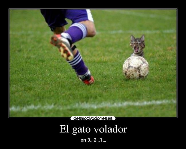 El gato volador - en 3...2...1...