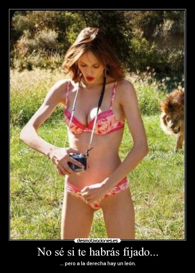 No sé si te habrás fijado... -