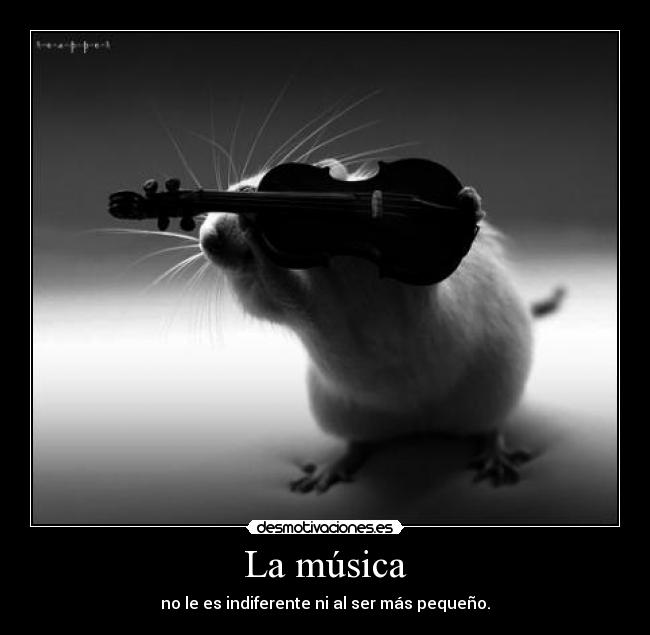 La música - 