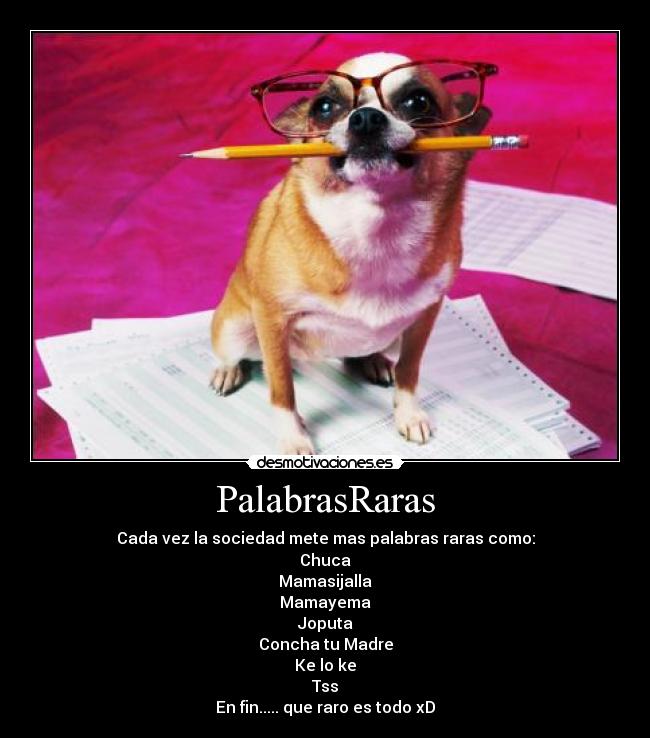 PalabrasRaras - Cada vez la sociedad mete mas palabras raras como:
Chuca
Mamasijalla
Mamayema
Joputa
Concha tu Madre
Ke lo ke
Tss
En fin..... que raro es todo xD