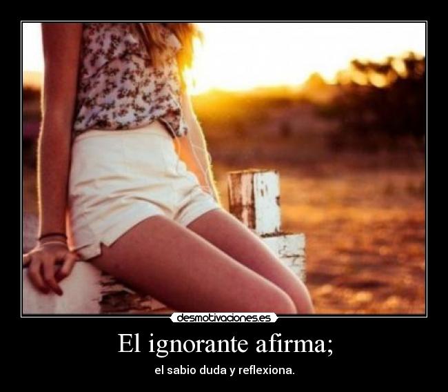 El ignorante afirma; -