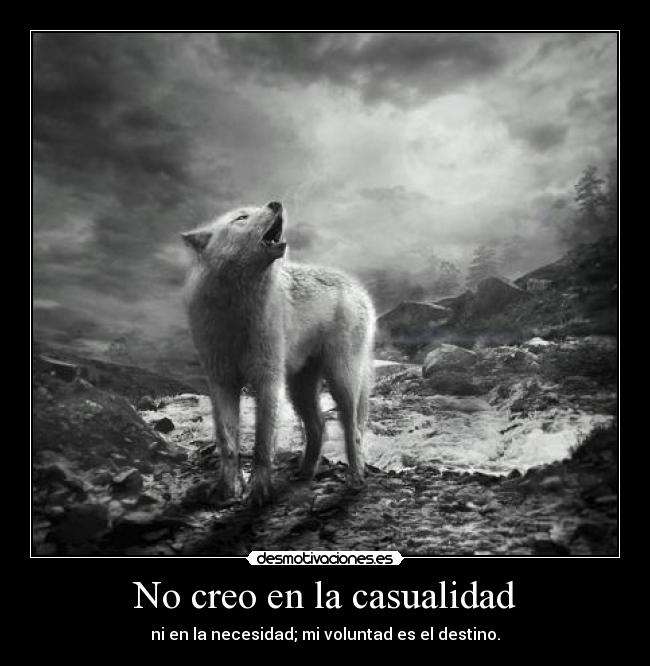 No creo en la casualidad -
