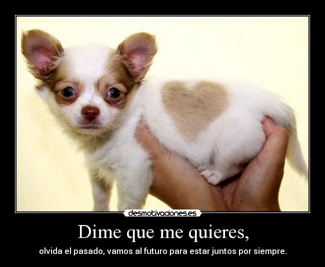 Dime que me quieres, -