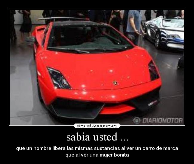sabia usted ... - que un hombre libera las mismas sustancias al ver un carro de marca
que al ver una mujer bonita
