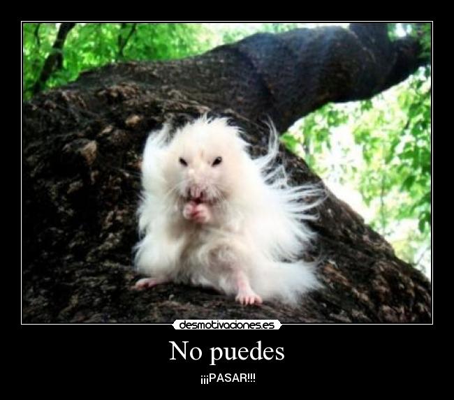 No puedes -