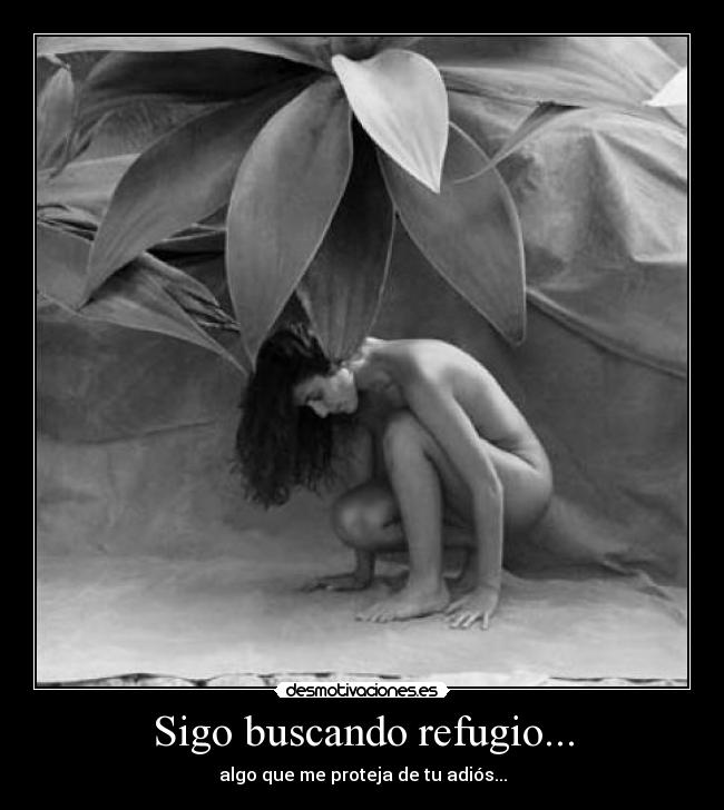 carteles dgrzr desmotivaciones