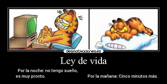 Ley de vida - Por la noche: no tengo sueño,                                                                      
      es muy pronto.                                         Por la mañana: Cinco minutos más.
