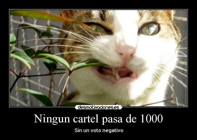 carteles carteles desmotivaciones