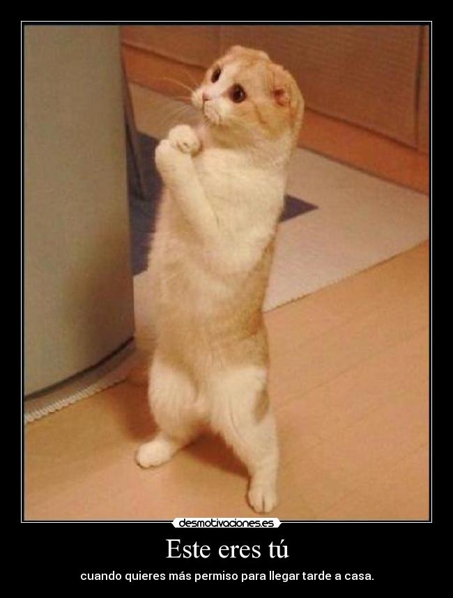 Este eres tú - cuando quieres más permiso para llegar tarde a casa.