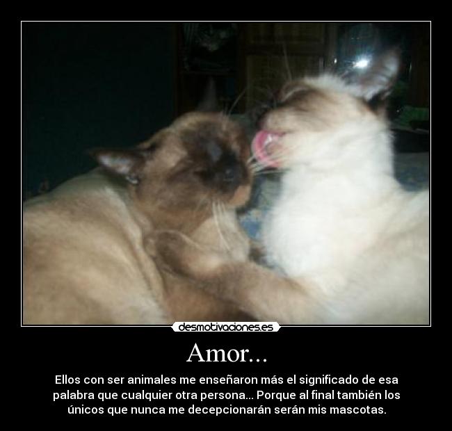 Lista 92+ Foto Mujeres Asiendo El Amor Con Animales Mirada Tensa