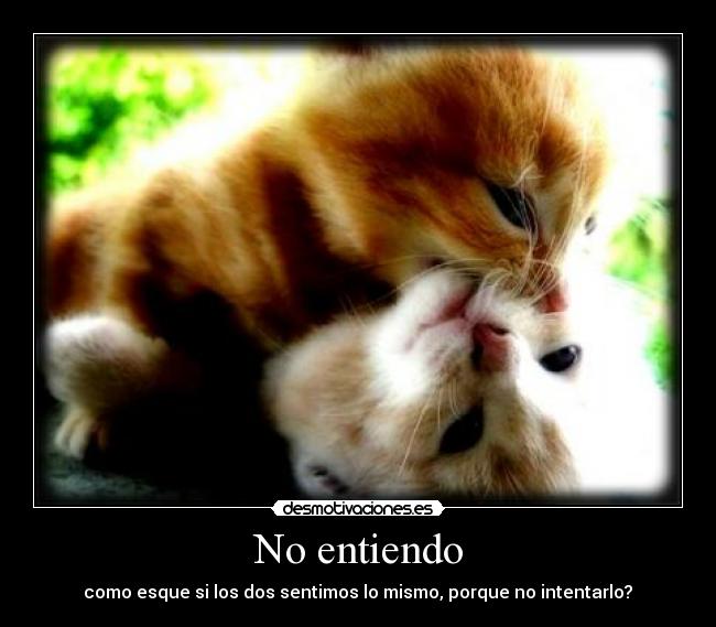 No entiendo - como esque si los dos sentimos lo mismo, porque no intentarlo?♥