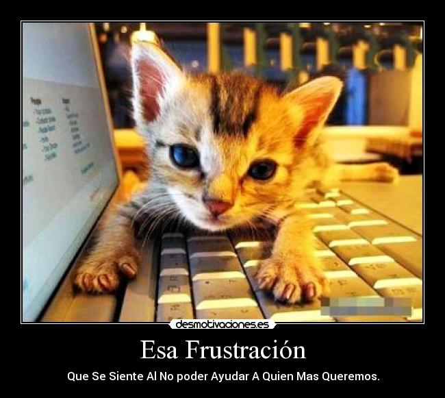 Esa Frustración -