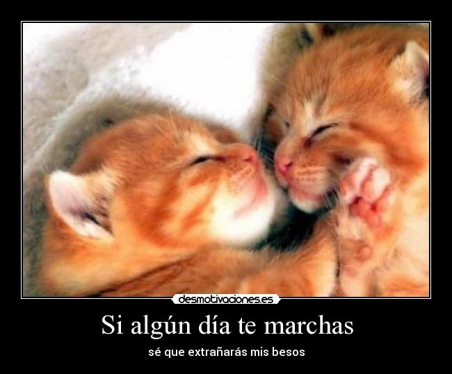 Si algún día te marchas - sé que extrañarás mis besos