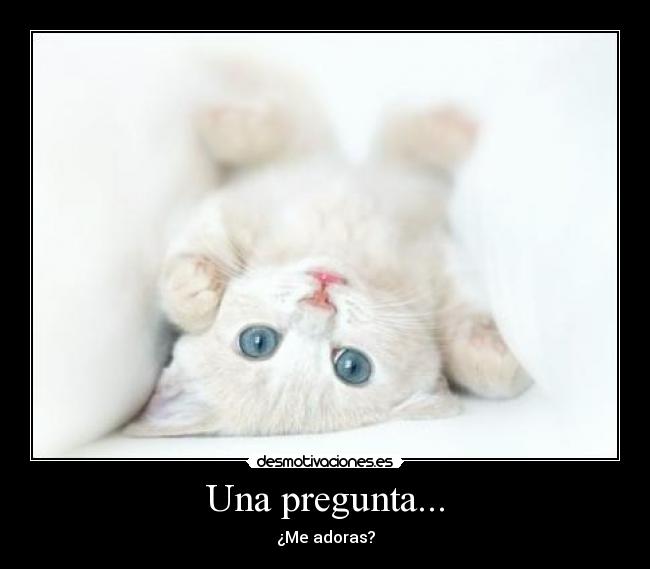 carteles una pregunta desmotivaciones