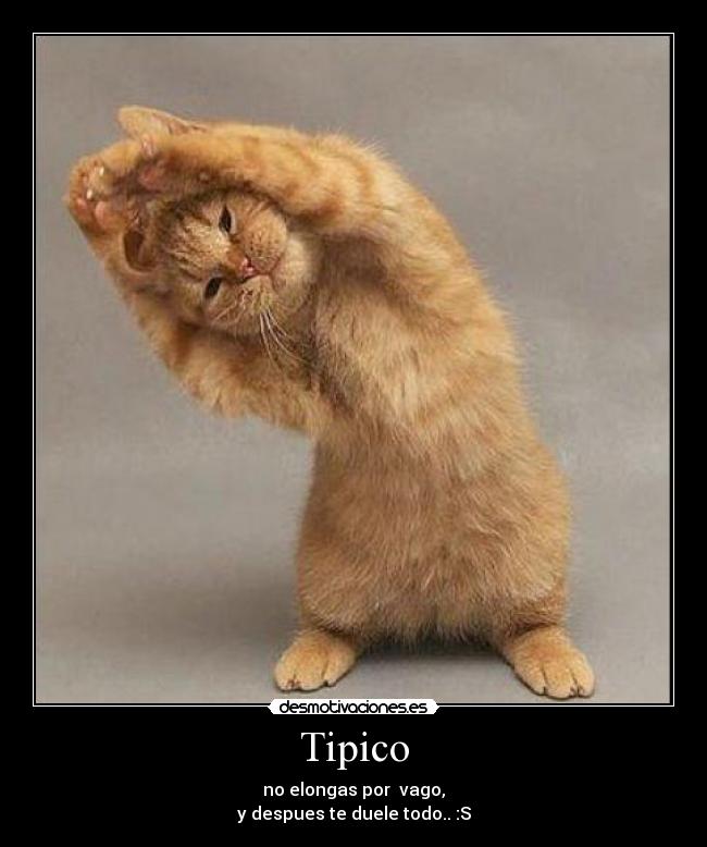 Tipico - no elongas por  vago,
y despues te duele todo.. :S