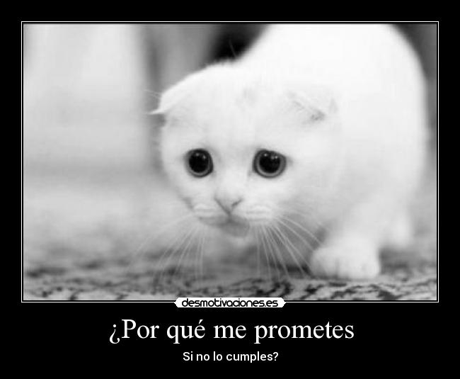 carteles gato intruders tambien aplica aqui desmotivaciones