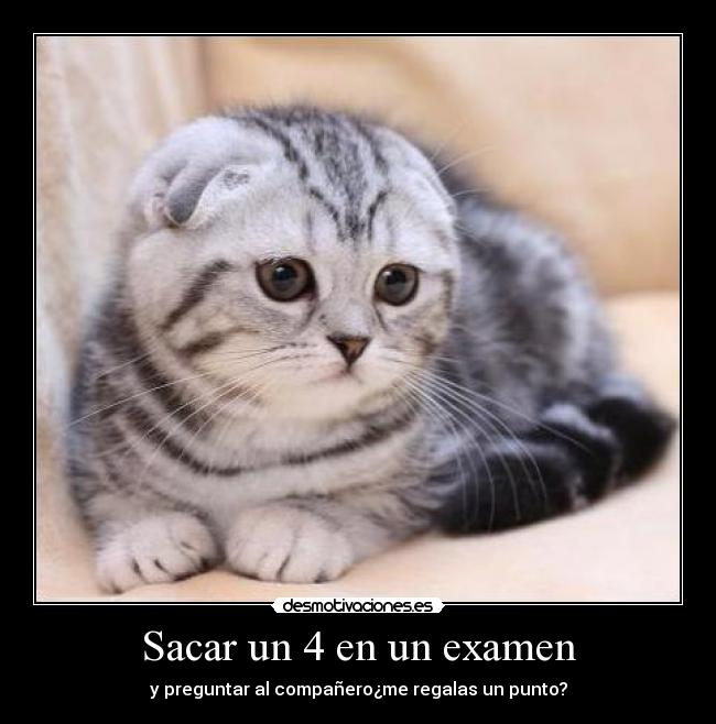 Sacar un 4 en un examen - y preguntar al compañero¿me regalas un punto?