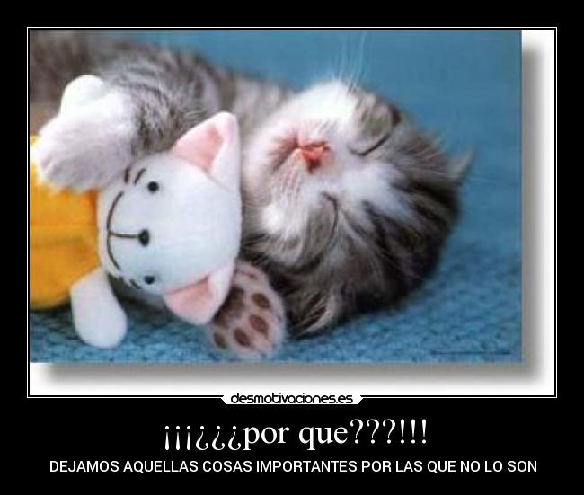 carteles dejamos aquellas cosas desmotivaciones