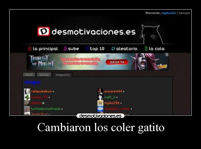 Cambiaron los coler gatito - 