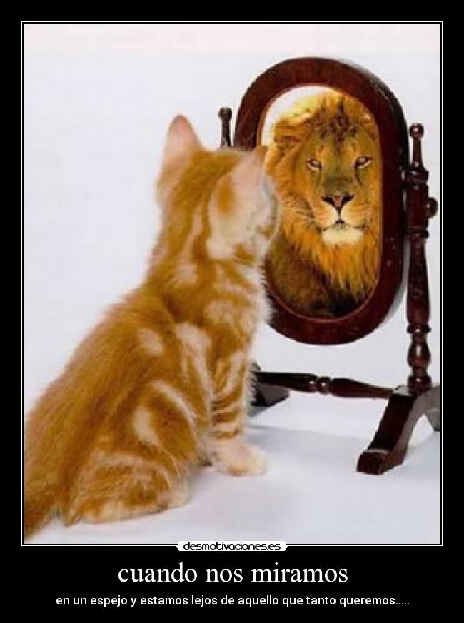 cuando nos miramos -