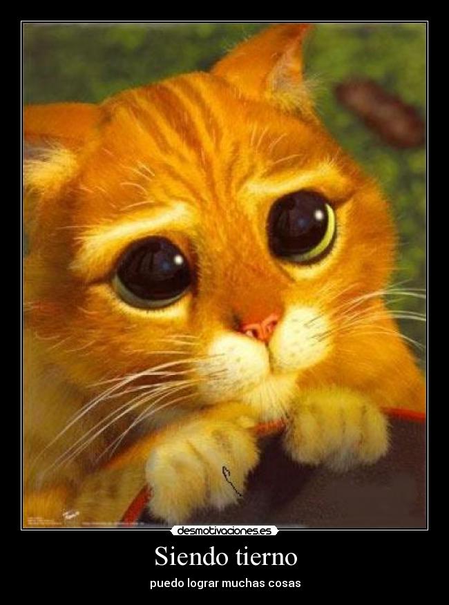GATITO DE SHREK gatito de shrek: