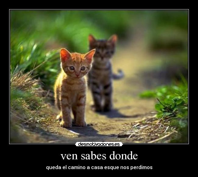 ven sabes donde - 