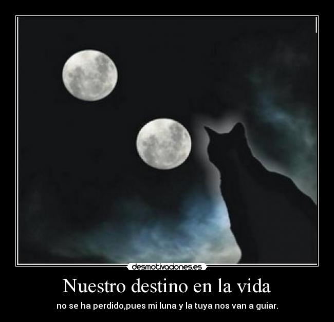 Nuestro destino en la vida - no se ha perdido,pues mi luna y la tuya nos van a guiar.