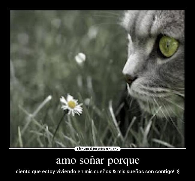 amo soñar porque - siento que estoy viviendo en mis sueños & mis sueños son contigo! :$