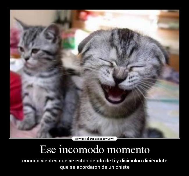 Ese incomodo momento - cuando sientes que se están riendo de ti y disimulan diciéndote
que se acordaron de un chiste