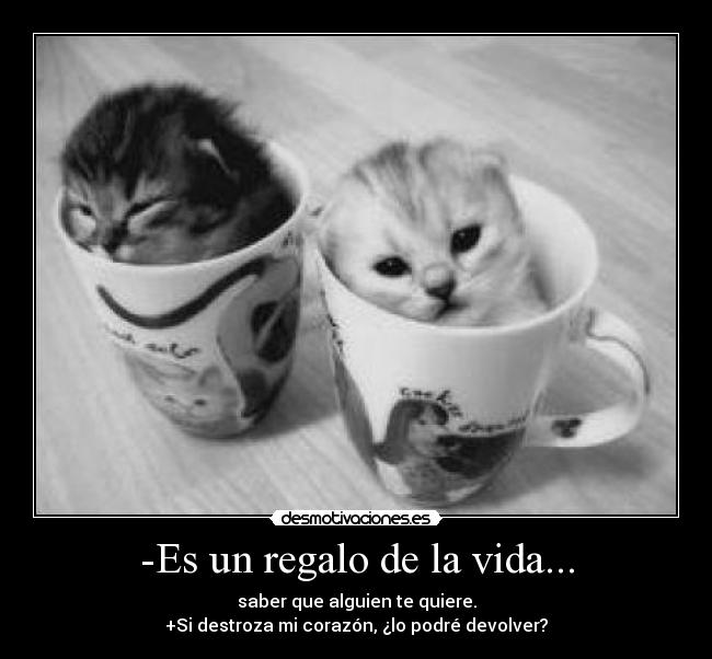 -Es un regalo de la vida... - saber que alguien te quiere.
+Si destroza mi corazón, ¿lo podré devolver?