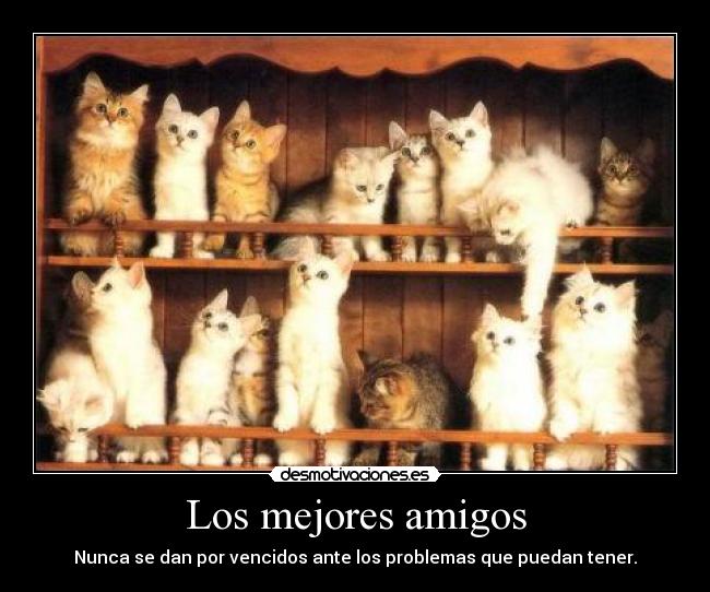 Los mejores amigos -