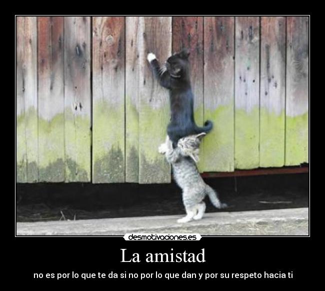La amistad - 