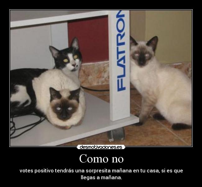 Como no - votes positivo tendrás una sorpresita mañana en tu casa, si es que llegas a mañana.