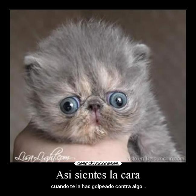 Asi sientes la cara - 