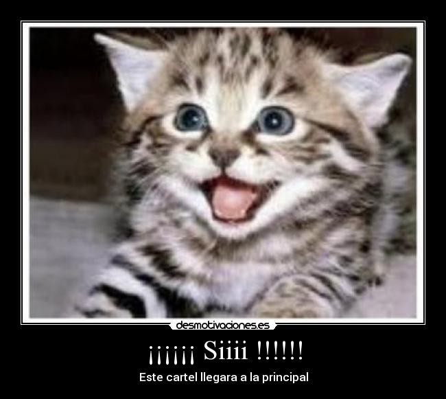 ¡¡¡¡¡¡ Siiii !!!!!! - Este cartel llegara a la principal