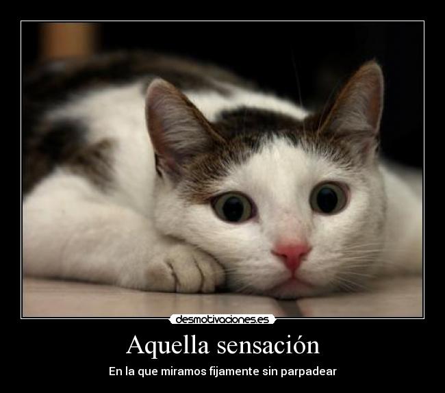 Aquella sensación - 