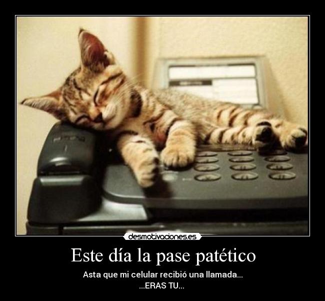 Este día la pase patético - 