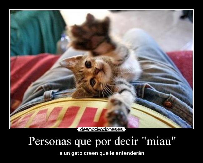 carteles sangre derramada tierra esta quemada salir burbuja que existen las hadas desmotivaciones