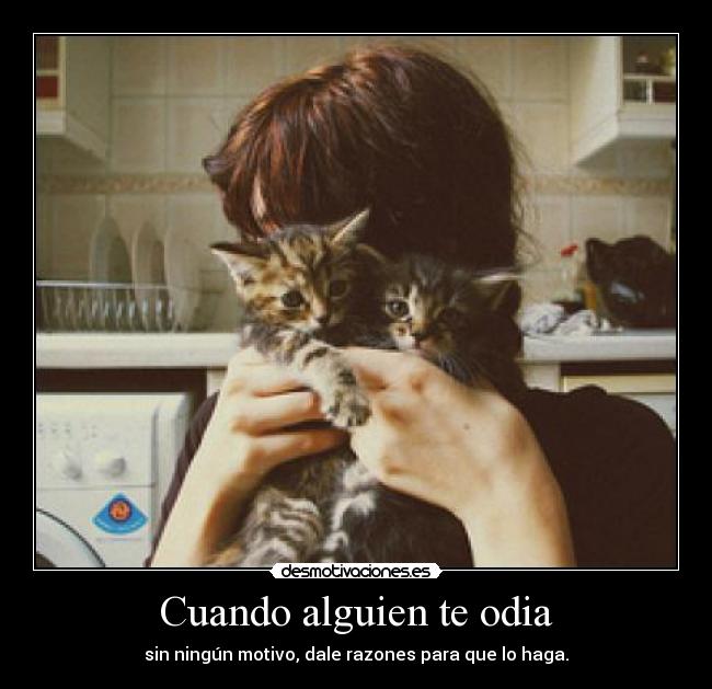 Cuando alguien te odia - sin ningún motivo, dale razones para que lo haga.