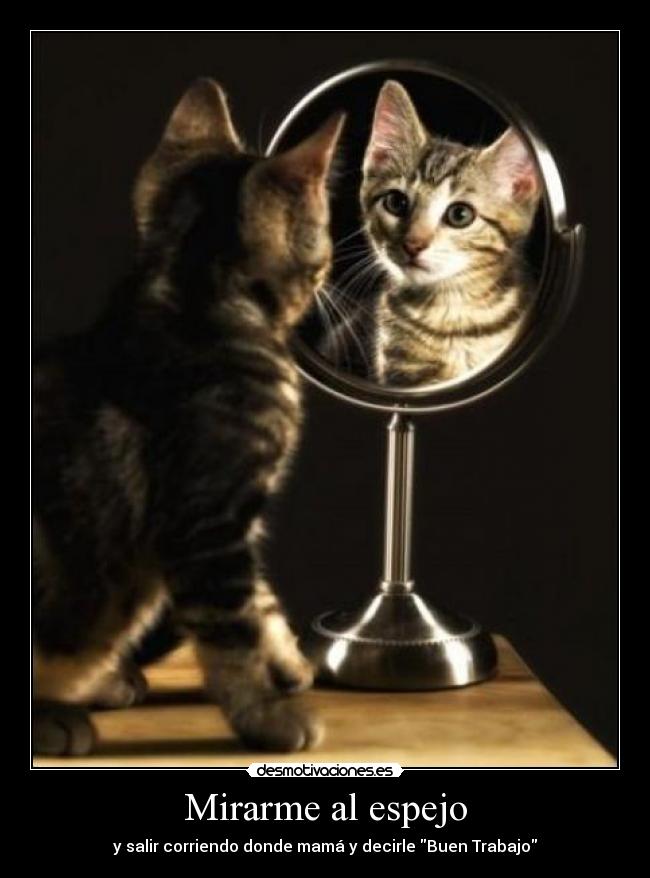 Mirarme al espejo -