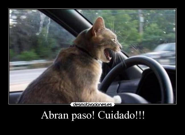 Abran paso! Cuidado!!! -
