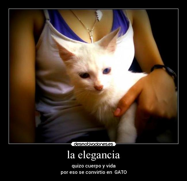 la elegancia -