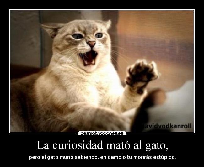 La curiosidad mató al gato, -