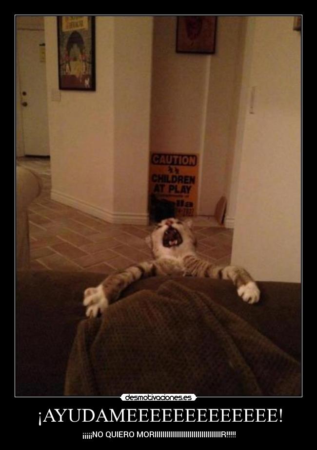 ¡AYUDAMEEEEEEEEEEEEE! -