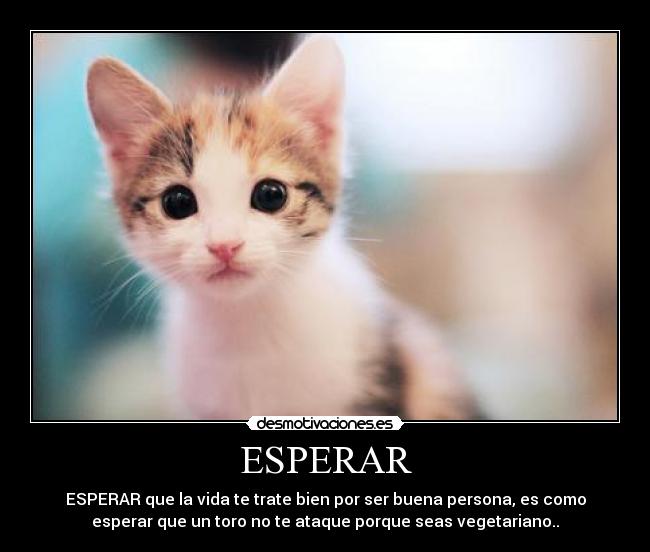 ESPERAR -