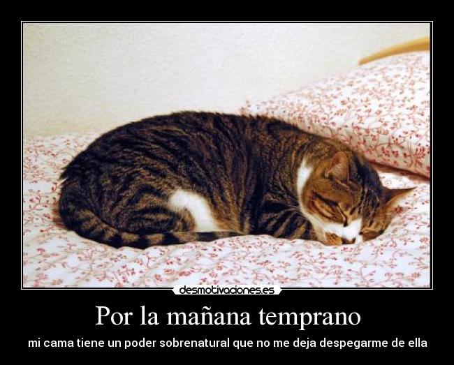 Por la mañana temprano - mi cama tiene un poder sobrenatural que no me deja despegarme de ella