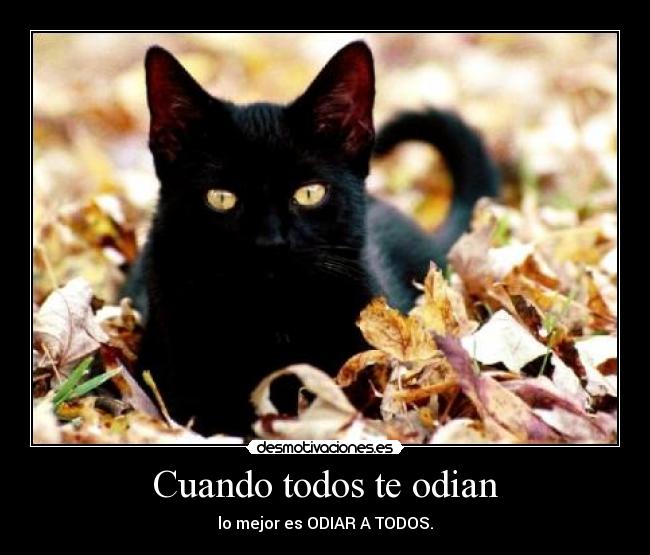 Cuando todos te odian -