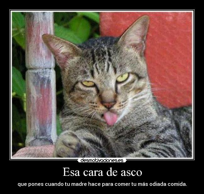 Esa cara de asco - que pones cuando tu madre hace para comer tu más odiada comida.